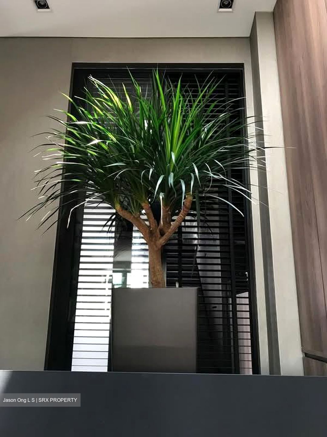 Camelia Park (D28), Semi-Detached #600240461